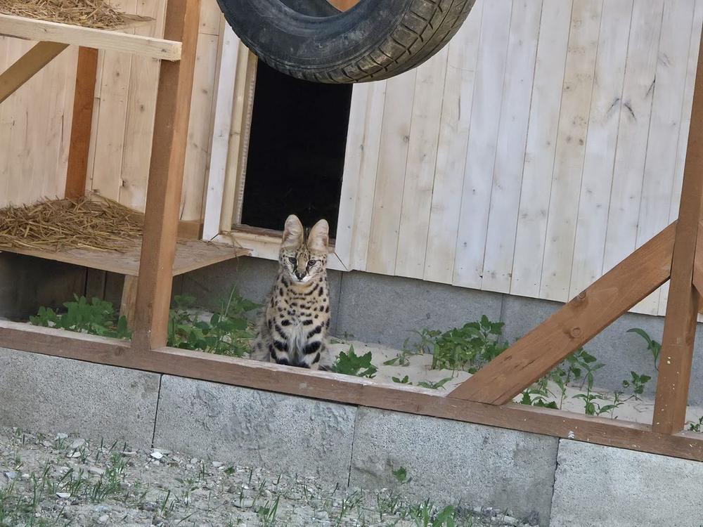 Ranč pri Žiline Exotické ZOO Zvieratá